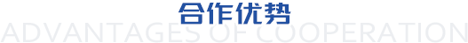 合作优势