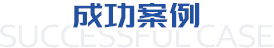 成功案例